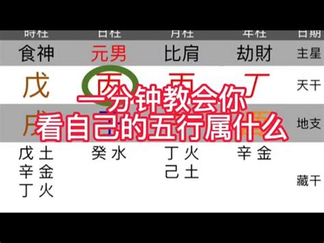 自己五行屬性|五行測試：你屬哪一行？